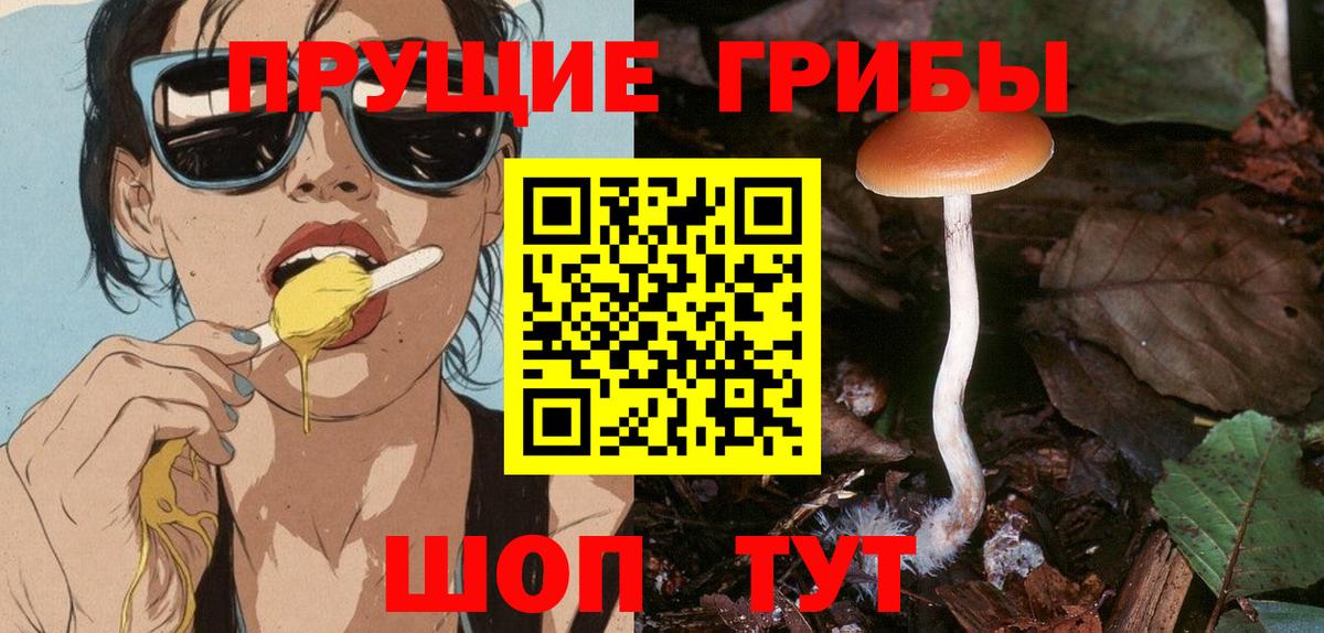 Псилоцибиновые грибы прущие грибы Батайск