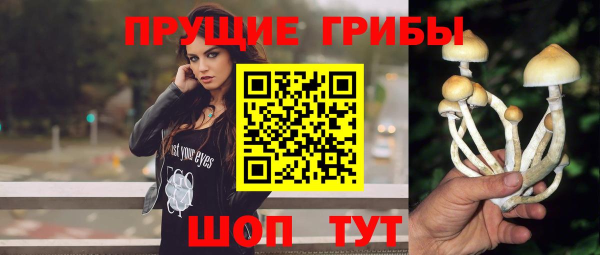 Псилоцибиновые грибы Magic Shrooms  Вход с VPN  Батайск 
